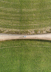 Aerial view of a car driving in between two agricultural circles in the middle of the Saih Al Salam Desert in Dubai, U.A.E. - AAEF01140