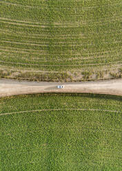Luftaufnahme eines Autos, das zwischen zwei landwirtschaftlichen Kreisen mitten in der Wüste Saih Al Salam in Dubai, Vereinigte Arabische Emirate, fährt. - AAEF01140