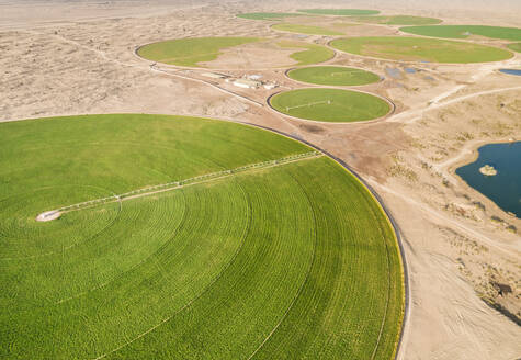 Luftaufnahme von landwirtschaftlichen Grünflächen inmitten der Wüste Saih Al Salam in Dubai, Vereinigte Arabische Emirate. - AAEF01141