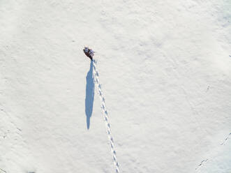 Luftaufnahme eines Mannes, der durch ein Neuschneefeld läuft. - AAEF01210