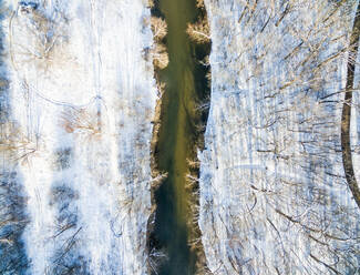 Luftaufnahme eines kleinen Flusses, der eine weiße und frische Schneelandschaft durchquert, USA. - AAEF01211