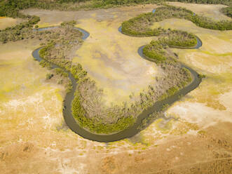 Luftaufnahme eines Serpentinenbachs mit Auenwald, Brasilien. - AAEF01395