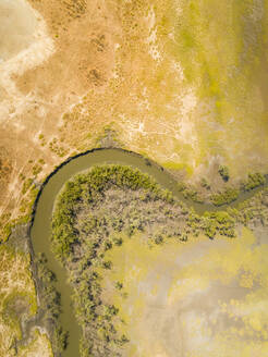 Luftaufnahme eines Serpentinenbachs mit Auenwald, Brasilien. - AAEF01396