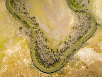 Luftaufnahme eines Serpentinenbachs mit Auenwald, Brasilien. - AAEF01397