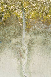 Luftaufnahme eines kleinen Baches, der ein Feuchtgebiet durchquert, Niederlande. - AAEF01427