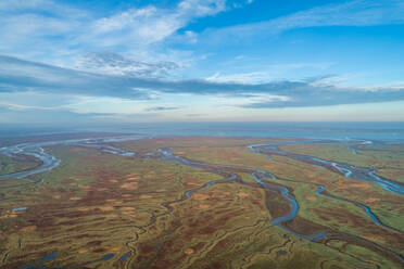 Luftaufnahme eines ausgedehnten Feuchtgebietsökosystems in Meeresnähe, Niederlande. - AAEF01432