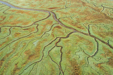 Luftaufnahme eines kleinen Baches, der ein Feuchtgebiet durchquert, Niederlande. - AAEF01434