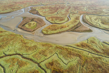 Luftaufnahme eines ausgedehnten Feuchtgebietsökosystems in Meeresnähe, Niederlande. - AAEF01435