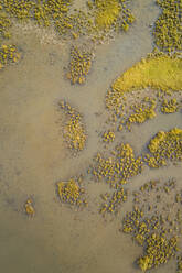 Luftaufnahme eines erstaunlichen Musters, das durch ein Feuchtgebiet in den Niederlanden entstanden ist. - AAEF01445