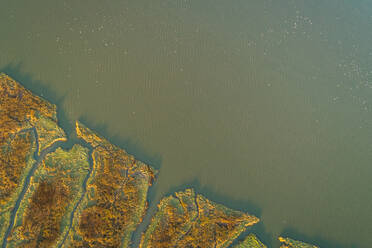 Luftaufnahme eines ausgedehnten Feuchtgebietsökosystems in Meeresnähe, Niederlande. - AAEF01451