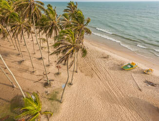 Luftaufnahme von Palmen und Meer am Strand von Rio do Fogo, Brasilien. - AAEF01460