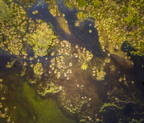Abstrakte Luftaufnahme der unwirklichen Lagune von Cauipe in Brasilien. - AAEF01502