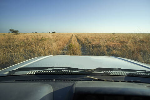 Autofahrt durch die Savannenlandschaft, Makgadikgadi Pans, Botswana, lizenzfreies Stockfoto