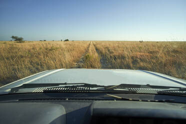 Autofahrt durch die Savannenlandschaft, Makgadikgadi Pans, Botswana - VEGF00493