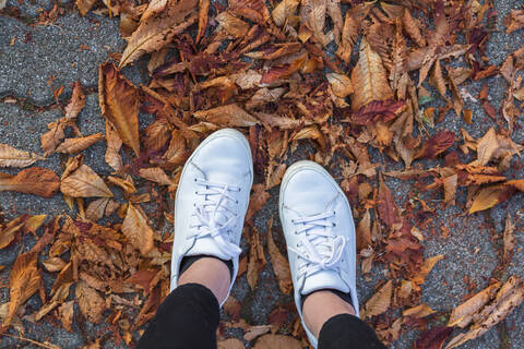 Low section of woman wearing white shoes standing on autumn leaves stock photo