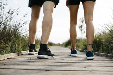 Rückansicht von Joggern, die auf einem Holzsteg stehen - JRFF03641