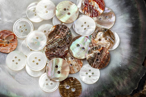 Directly above shot of buttons made with shells on table in workshop - DAWF00918