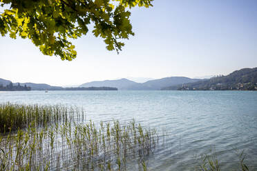 Blick auf den Wörthersee bei klarem Himmel, Österreich - DAWF00924