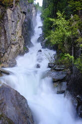 Mutterberg-Wasserfall, Stubaital, Tirol, Österreich - SIEF08878