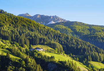 Jausenstation Oberkartnall, Hoher Burgstall, Stubaital, Stubaier Alpen, Tirol, �sterreich - SIEF08879