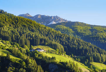 Mountain psture Oberkartnall and Hoher Burgstall mountain, Stubai Alps, Tyrol, Austria - SIEF08879