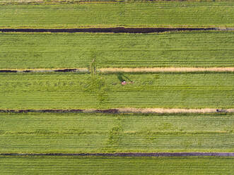 Luftaufnahme eines Traktors bei der Arbeit auf einem Feld in den Niederlanden. - AAEF01564