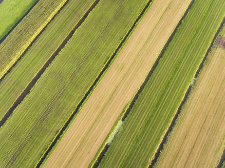 Aerial view of fields in Netherlands. - AAEF01567