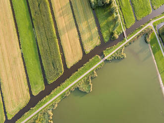 Luftaufnahme von Feldern in den Niederlanden. - AAEF01569
