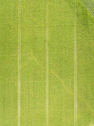 Aerial view of green field. - AAEF01589