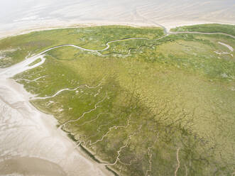 Abstrakte Luftaufnahme von Feuchtgebieten auf den friesischen Inseln in den Niederlanden. - AAEF01647