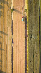 Aerial view of a tractor harvesting the corn in fields in The Netherlands. - AAEF01678