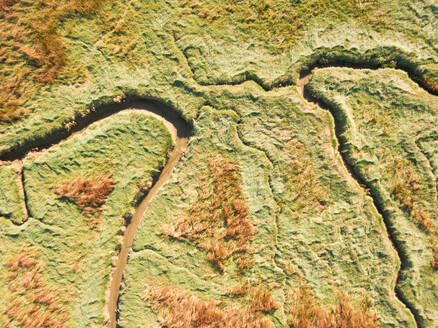 Abstrakte Luftaufnahme einer Flusslandschaft in den Niederlanden. - AAEF01706