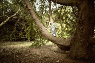 Mixed race girl climbing tree in forest - BLEF13874