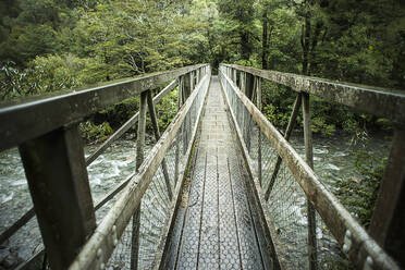 Hölzerne Brücke über einen Fluss im Wald - BLEF13876