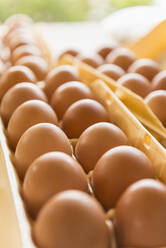 Close up of cartons of eggs - BLEF14065