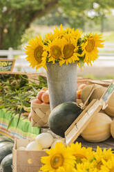 Flowers and produce at farmers market - BLEF14080