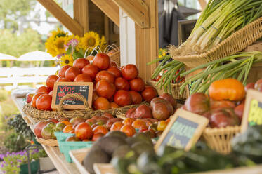 Produce at farmers market - BLEF14083