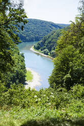 Blick auf die Donau in Kelheim, Deutschland - MAEF12923