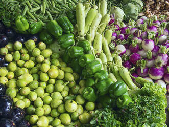 Frisches Gemüse zum Verkauf auf dem Markt - BLEF14390