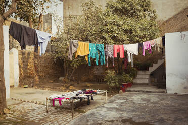 Laundry drying on clothesline in backyard - BLEF14398