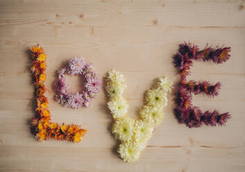 Love spelled with flowers - BLEF14423