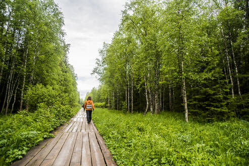 Kaukasischer Wanderer auf Holzsteg im Wald - BLEF14461
