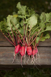 Close up of fresh vegetables - BLEF14488