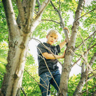 Niedriger Blickwinkel auf einen kaukasischen Jungen, der auf einen Baum klettert - BLEF14619