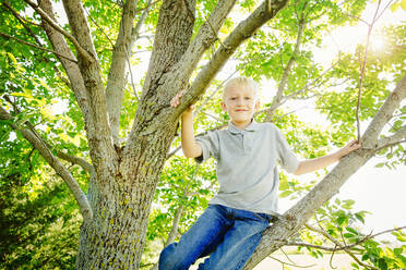 Niedriger Blickwinkel auf einen kaukasischen Jungen, der auf einen Baum klettert - BLEF14620
