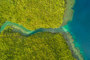 Abstrakte Luftaufnahme des Flusses Bojo in Aloguinsan, Philippinen. - AAEF01775