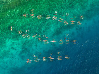 Luftaufnahme von Touristen in Kajaks beim Schwimmen mit Walen, Oslob, Philippinen. - AAEF01795