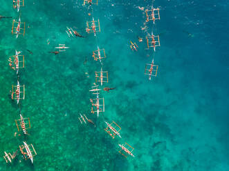 Luftaufnahme von Touristen, die mit Walhaien schwimmen, Oslob, Philippinen. - AAEF01796
