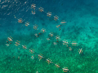 Luftaufnahme von Touristen, die mit Walhaien schwimmen, Oslob, Philippinen. - AAEF01797