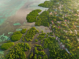 Luftaufnahme der Küstenstadt und der Mangroven im Bezirk Taloto, Philippinen. - AAEF01828